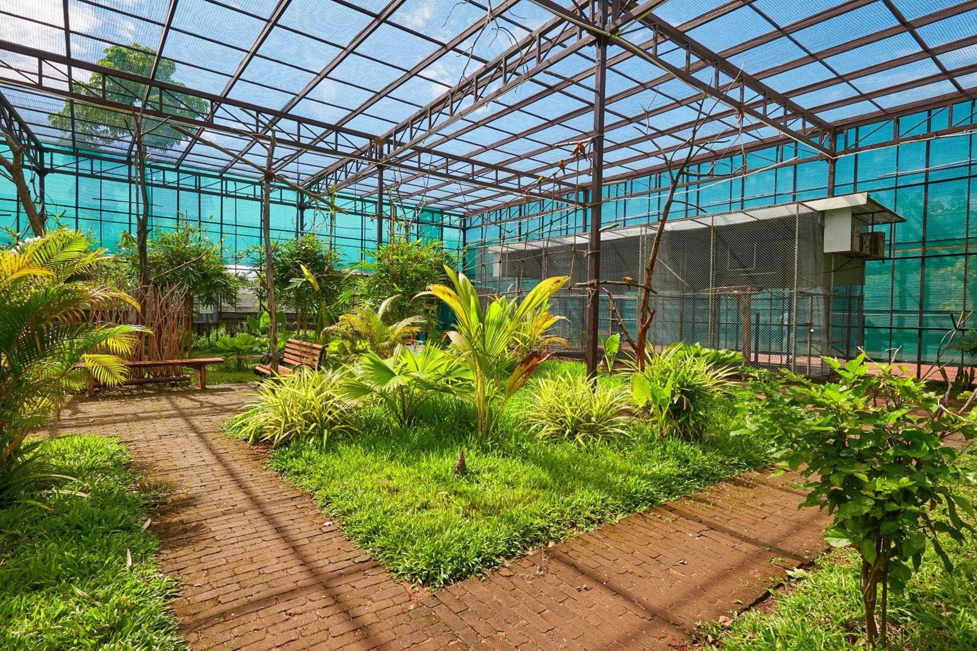 Bodhiwoods Resorts Mahábalípuram Exteriér fotografie